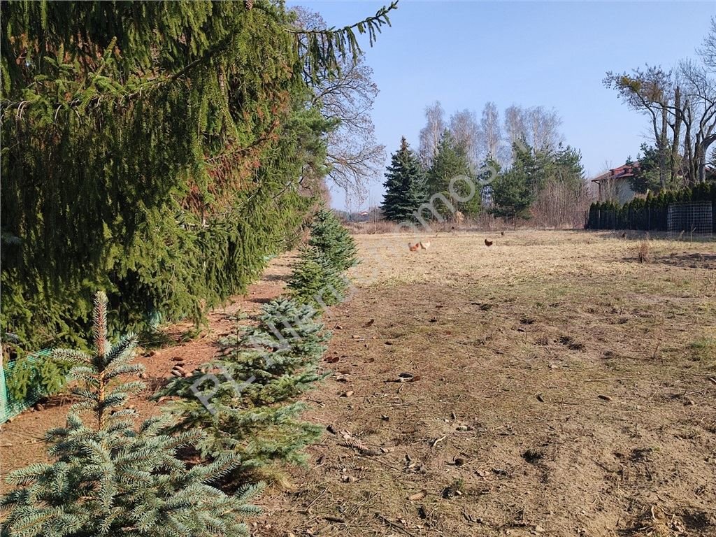 Działka 2015 m2 z zielenią i szybkim dojazdem do Warszawy Bramki  2 015m2 Foto 1