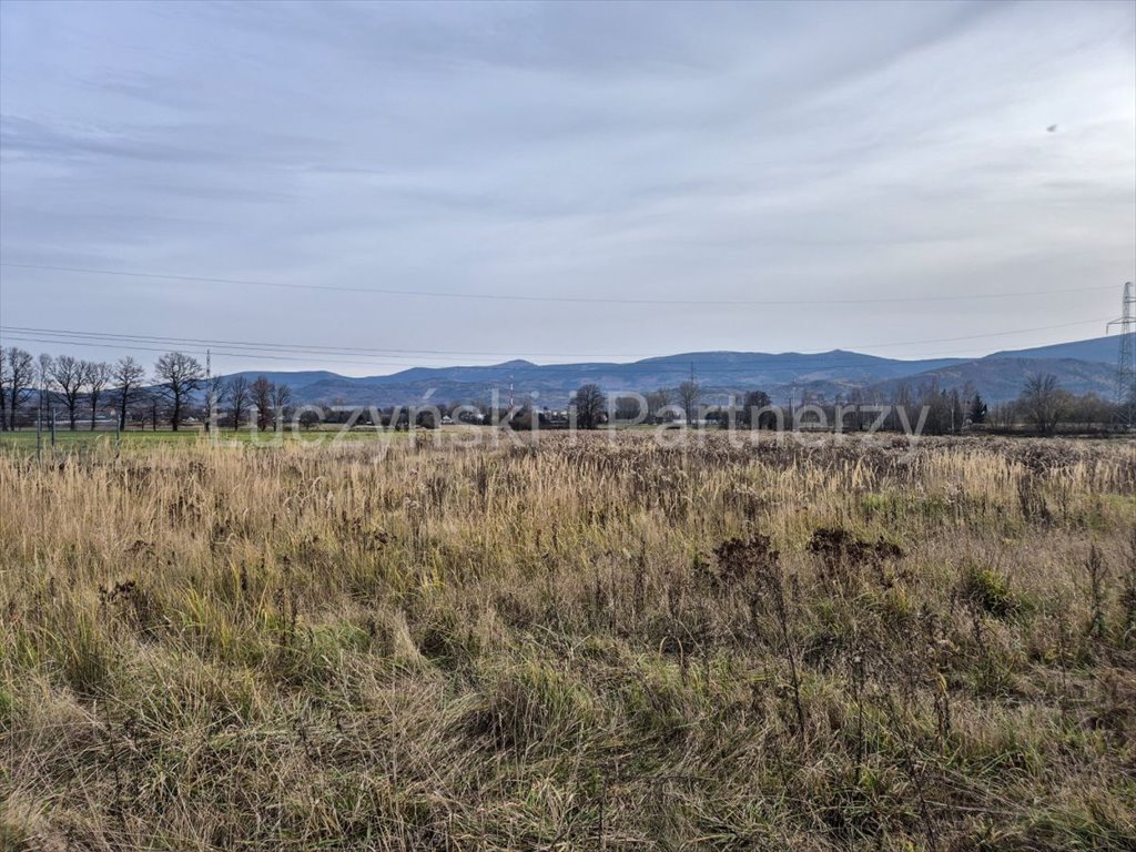 Działka 1 ha z widokiem na Karkonosze, media, spokój Wojcieszyce  10 000m2 Foto 1
