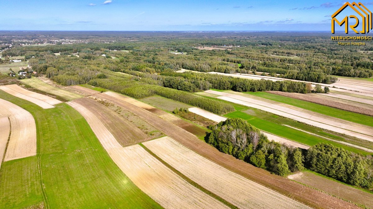 Działka inna na sprzedaż Łęki Górne  7 000m2 Foto 21