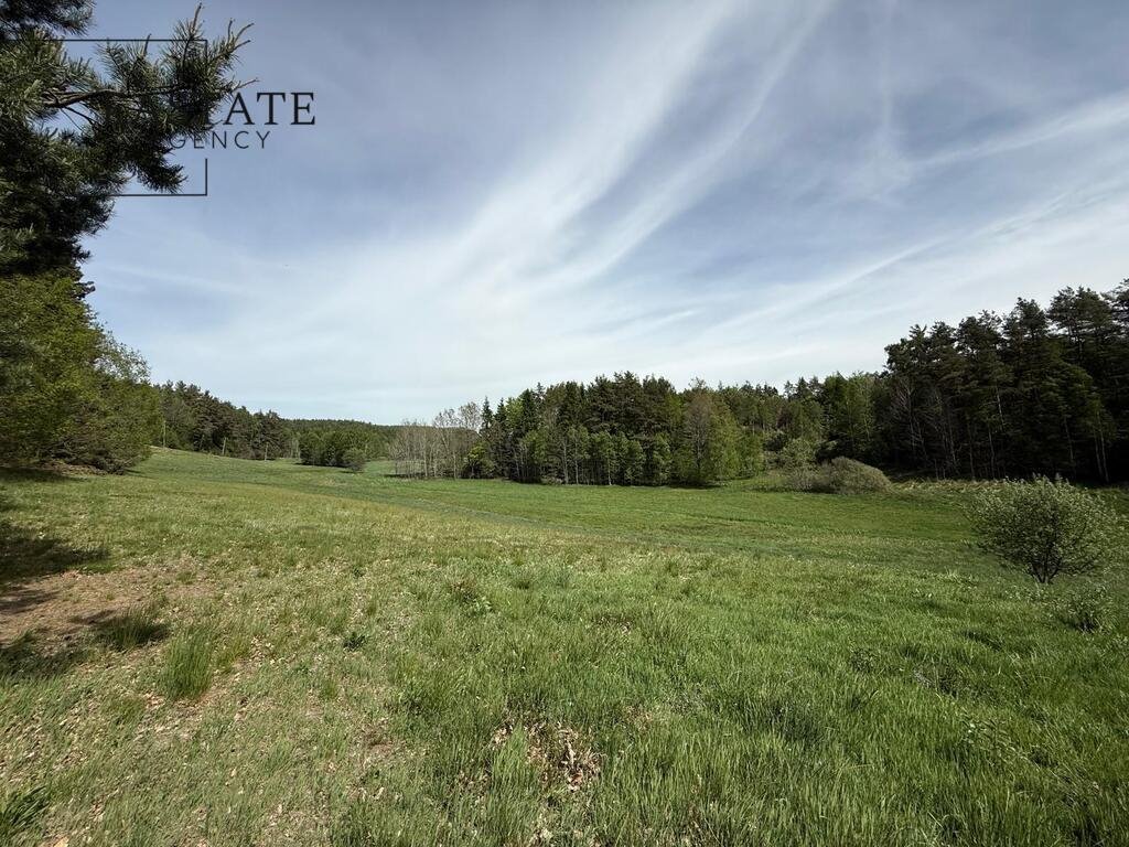 Działki Kaszuby z lasem i warunkami zabudowy - 1515 i 1765 m² Rąb, Trzy Rzeki, Górna  3 513m2 Foto 1
