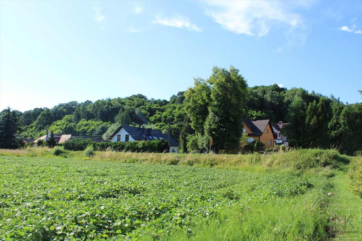 Działka budowlana na sprzedaż Winiary  1 100m2 Foto 6