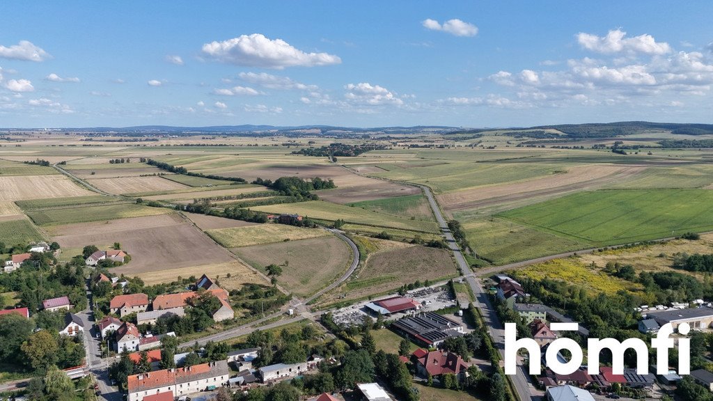 Zdjęcie 6
