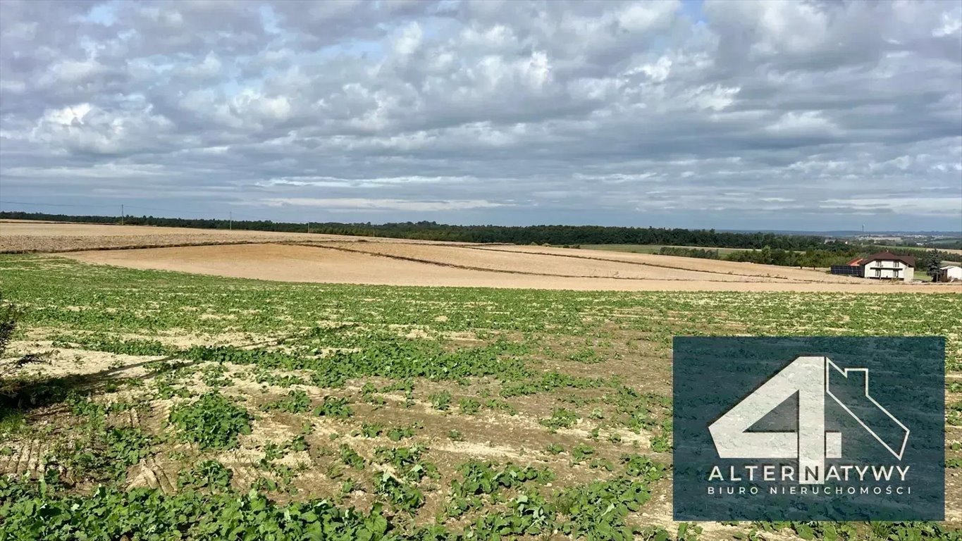 Działka budowlana na sprzedaż Sieciechowice, Banacha 1  1 550m2 Foto 2