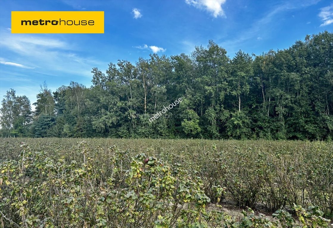 Działka inna na sprzedaż Powązki, Dębowa  8 600m2 Foto 1