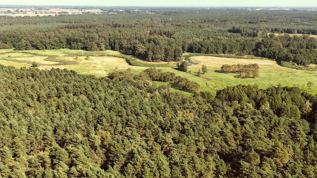 Działka budowlana na sprzedaż Strumiany  2 847m2 Foto 10