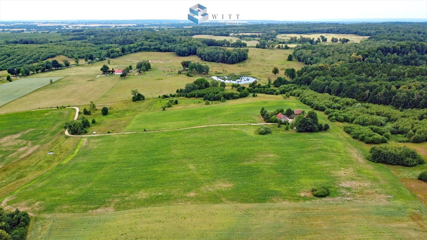 Działka budowlana na sprzedaż Morąg  1 500m2 Foto 8