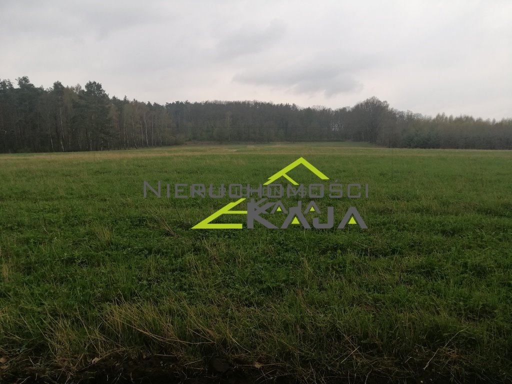 Działka budowlana na sprzedaż Grabowiec  3 008m2 Foto 4