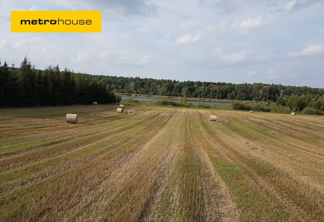 Działka inna na sprzedaż Wielka Wieś, Bukowska  19 079m2 Foto 1