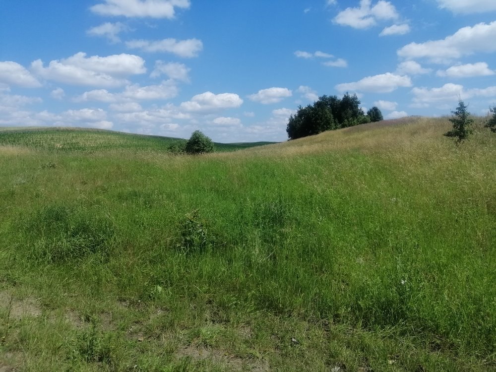 Działka rekreacyjna na sprzedaż Chłopowo  3 000m2 Foto 4