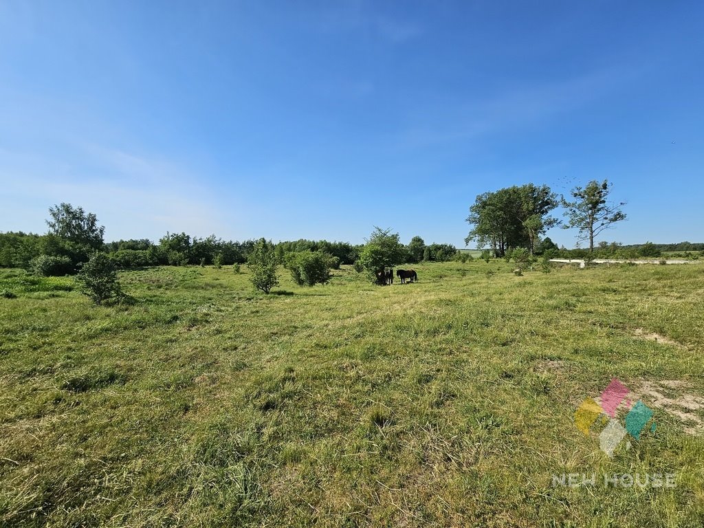 Działka budowlana na sprzedaż Elgnówko  3 901m2 Foto 6