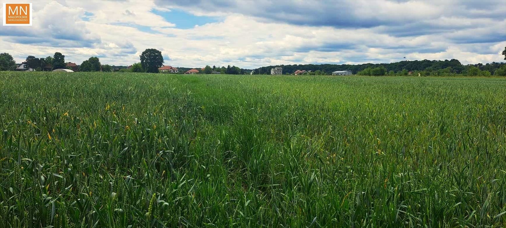 Działka budowlana na sprzedaż Ispina  8 500m2 Foto 1