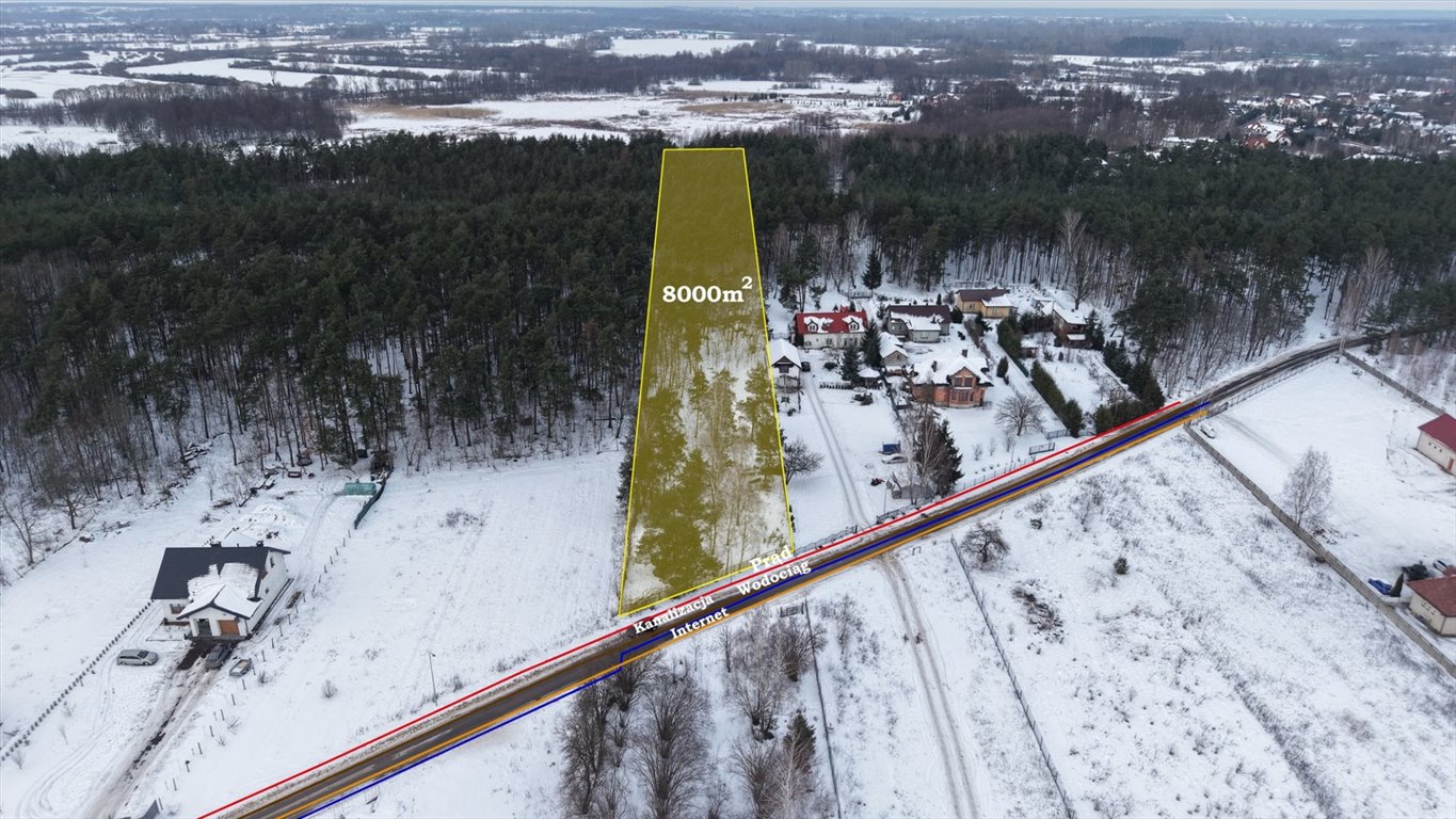 Działka 8 000 m² z lasem i możliwością zabudowy Augustówek  8 000m2 Foto 1