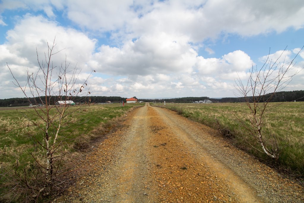 Działka budowlana na sprzedaż Zielona Góra, Fiołkowa  1 275m2 Foto 9