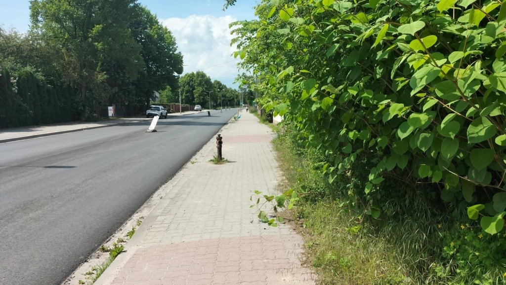 Działka budowlana na sprzedaż Jędrzejów, Feliksa Przypkowskiego  2 606m2 Foto 1