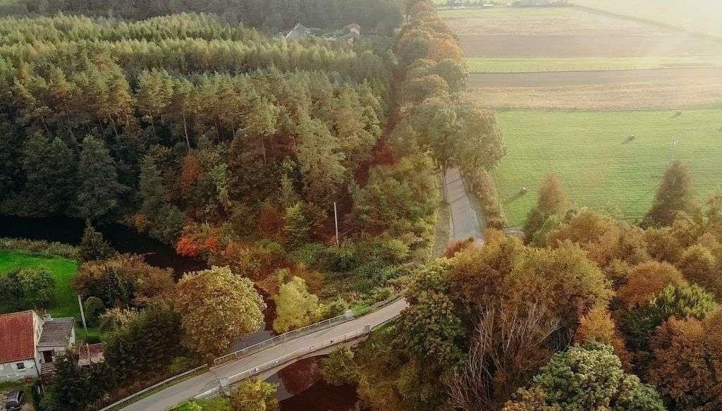 Działka inna na sprzedaż Miłomłyn  4 065m2 Foto 4