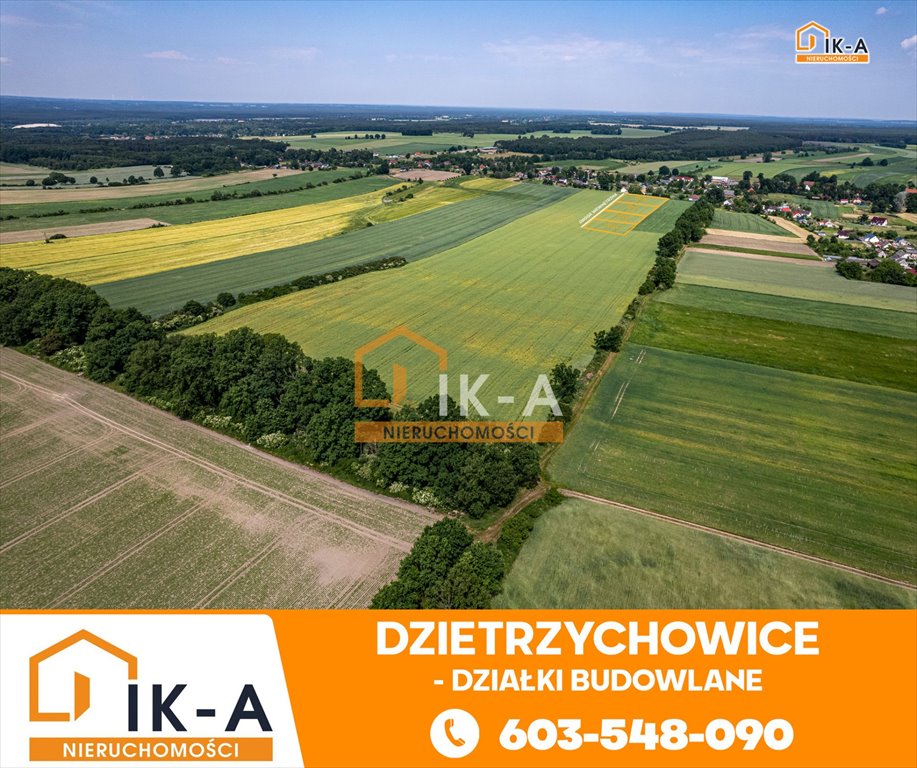 Działka budowlana na sprzedaż Dzietrzychowice, Dzietrzychowice  1 400m2 Foto 7