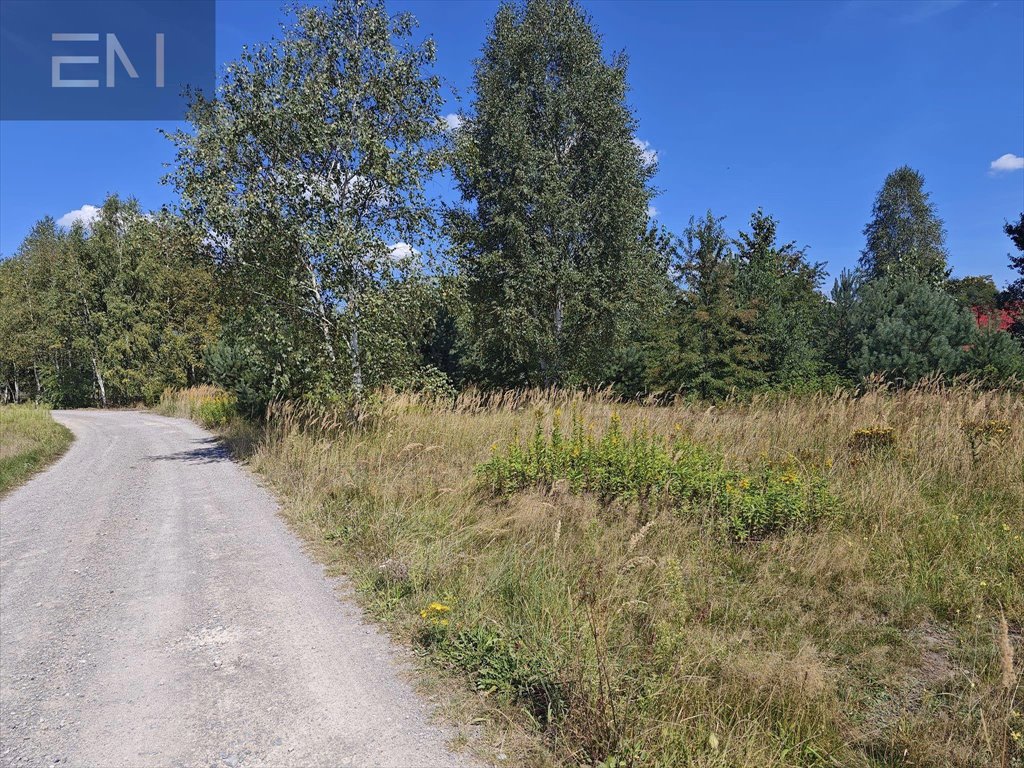 Działka budowlana na sprzedaż Wilcza Wola  1 800m2 Foto 3