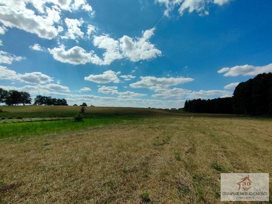 Działka inna na sprzedaż Stare drawsko, Stare drawsko  14 078m2 Foto 16