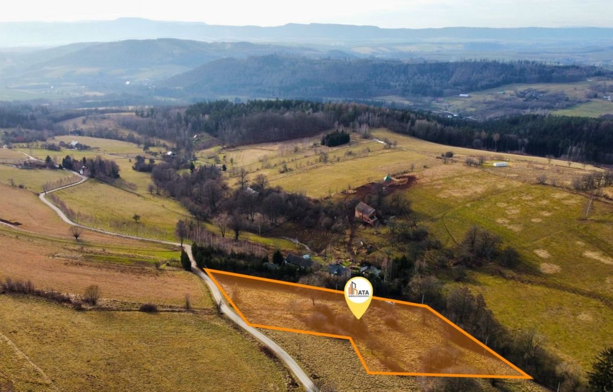 Działka budowlana na sprzedaż Bieganów  5 300m2 Foto 1