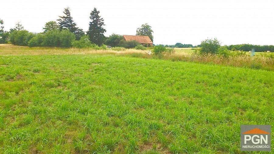 Działka 3000 m² z warunkami zabudowy i dostępem do mediów Trzebieszewo  3 000m2 Foto 1