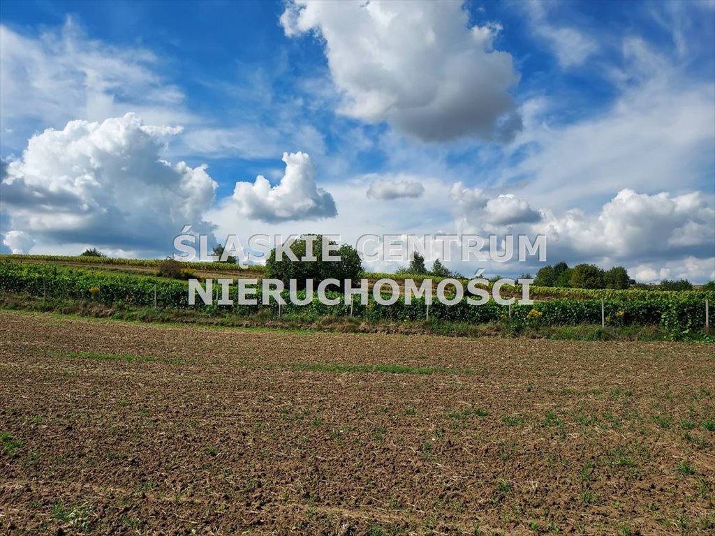 Działka rolna na sprzedaż Szczodrkowice, Marianów  8 100m2 Foto 4