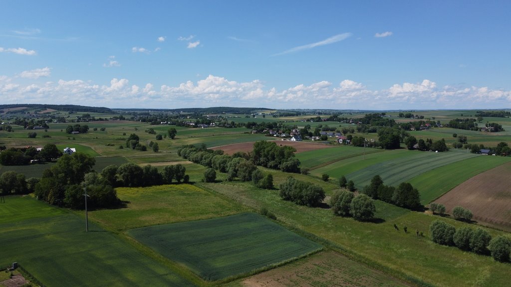 Działka budowlana na sprzedaż Wilków, Kolonia  1 556m2 Foto 7