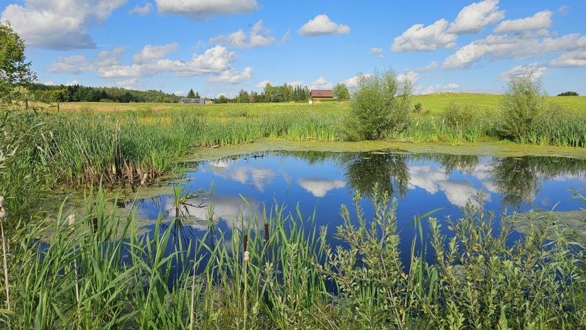 Działka rekreacyjna na sprzedaż Bogaczewo  1 374m2 Foto 12