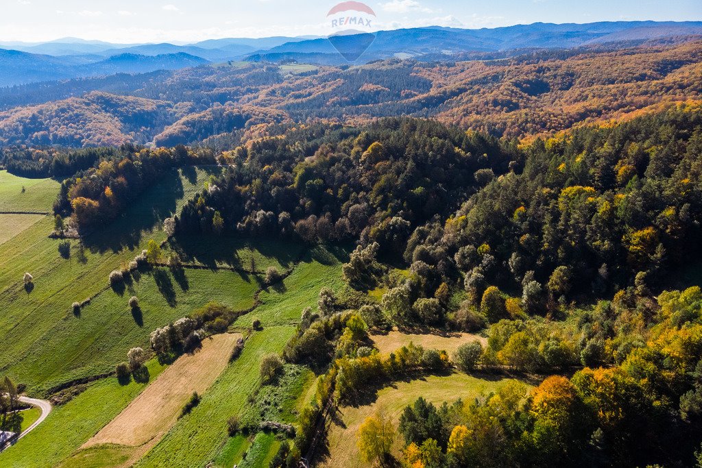 Działka budowlana na sprzedaż Polańczyk  2 888m2 Foto 19