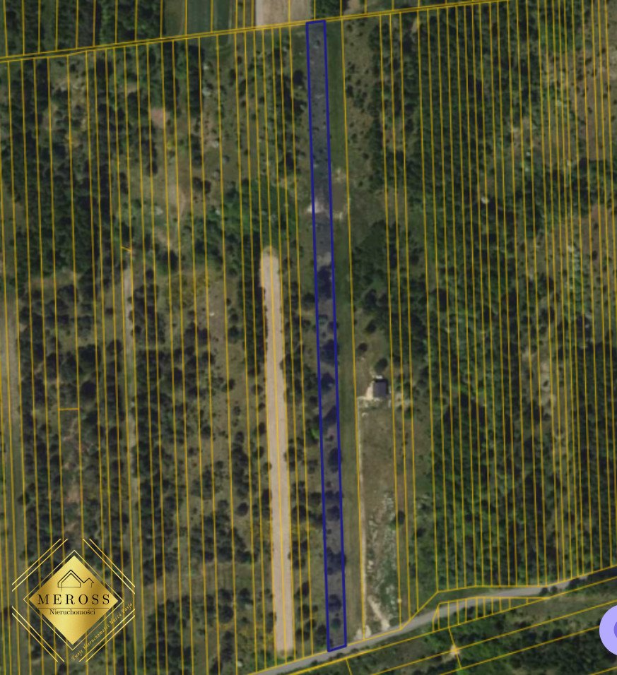 Działka leśna 5250 m² przy głównej drodze w Kusiętach Kusięta, Kusięta Małe  5 250m2 Foto 1