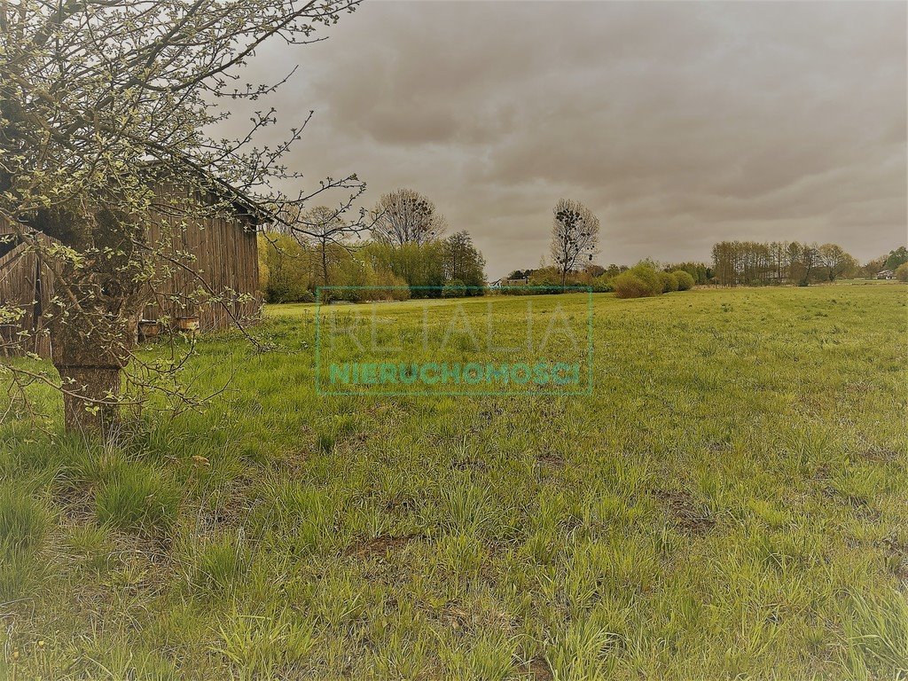 Działka 2,5 ha z domem i zabudowaniami, pod stadninę Budy Zosine  25 000m2 Foto 1