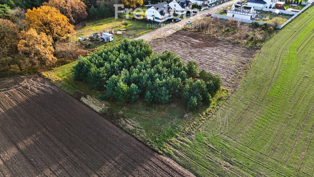 Działka budowlana na sprzedaż Rosnówko, Stawnego  1 805m2 Foto 10