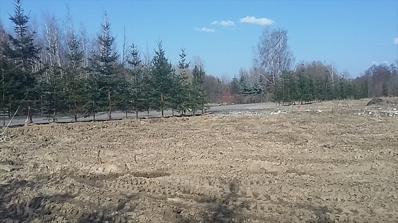 Działka budowlana na sprzedaż Warszawa, Wilanów, Rosy  1 200m2 Foto 4