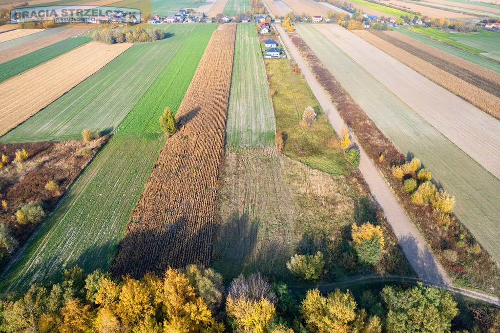 Działka budowlana na sprzedaż Nowe Faszczyce  16 700m2 Foto 10