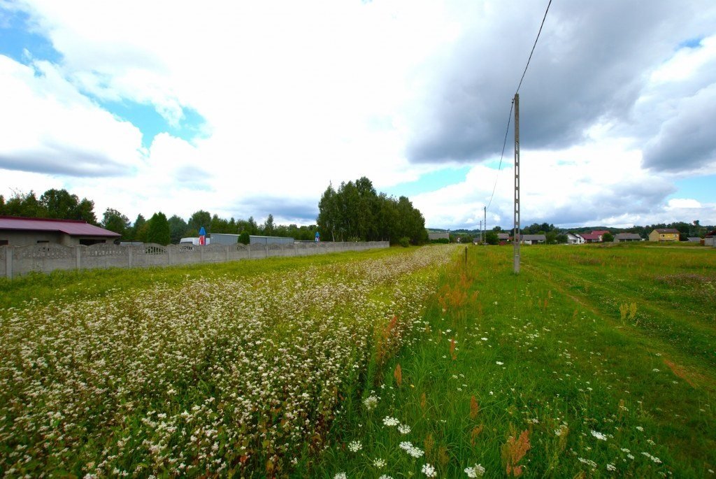 Działka budowlana na sprzedaż Bęczków  2 047m2 Foto 5