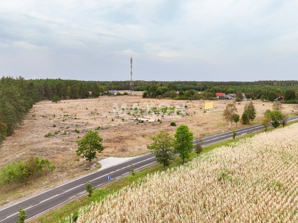 Działka inwestycyjna na sprzedaż Piwnice Wielkie  44 088m2 Foto 11