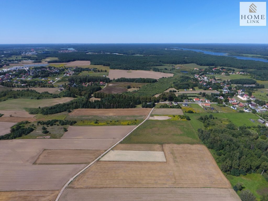 Działka budowlana na sprzedaż Zwierzewo  3 100m2 Foto 4