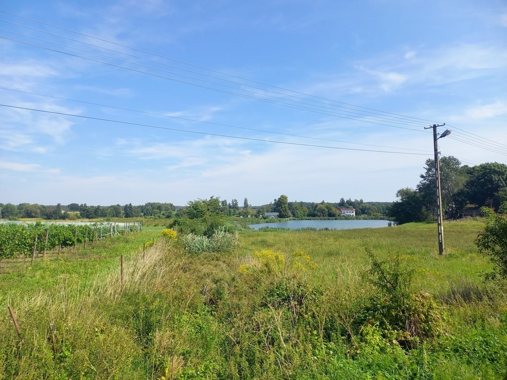 Działka budowlana na sprzedaż Boczki Domaradzkie  1 076m2 Foto 5