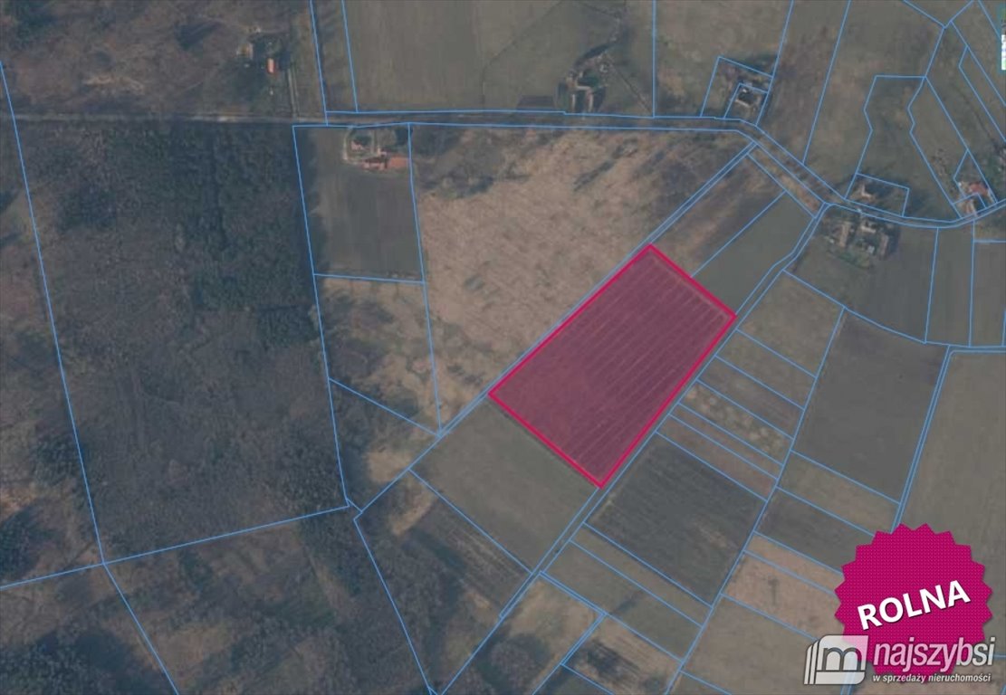 Działka rolna z 20 000 świerków, ogrodzona, 39 800 m² Trzechel  39 800m2 Foto 1