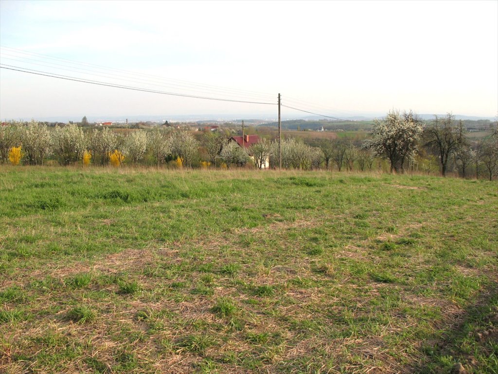 Działka budowlana na sprzedaż Świńczów  1 000m2 Foto 2