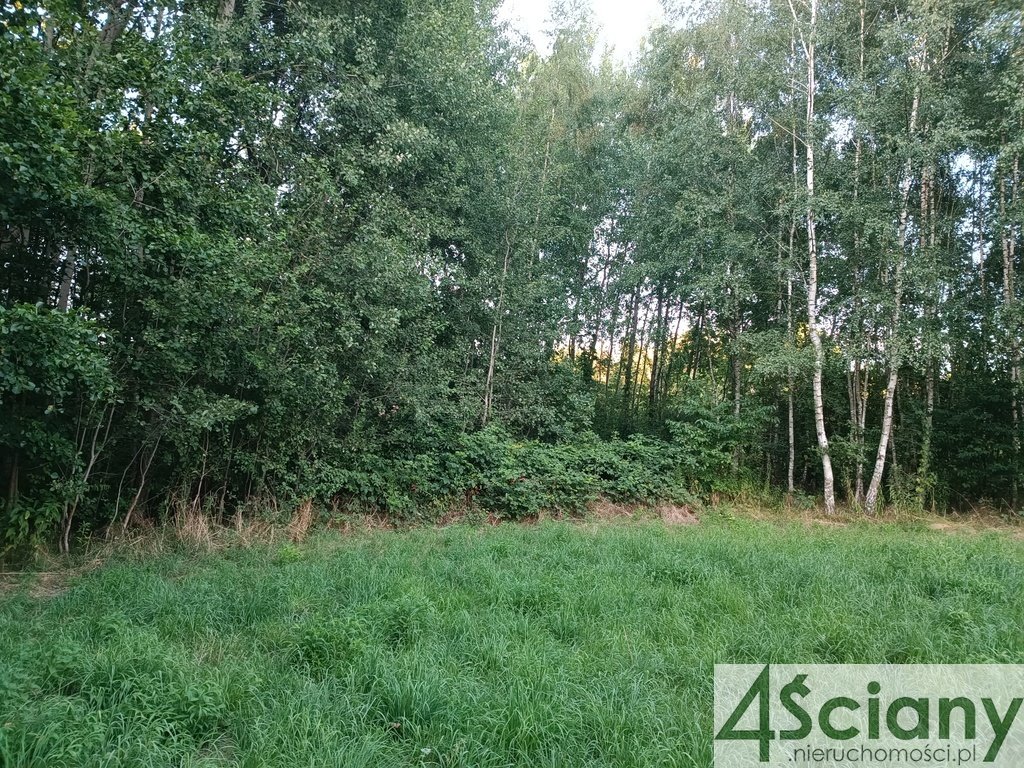 Działka budowlana na sprzedaż Biernik  16 000m2 Foto 10