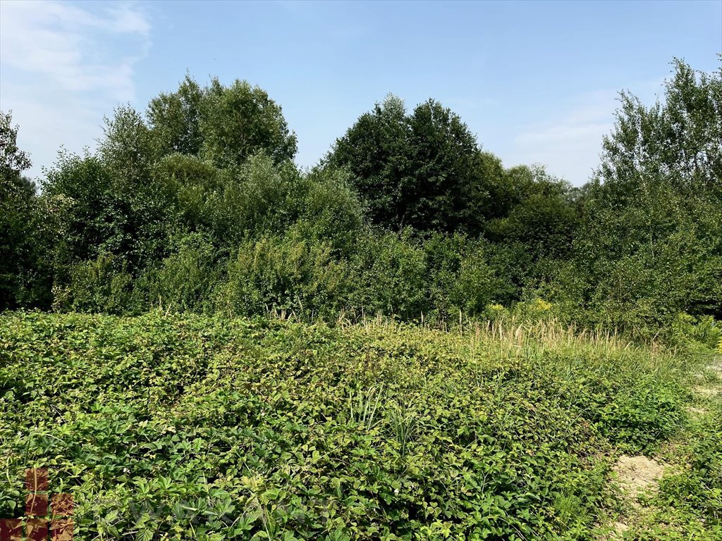 Działka budowlana na sprzedaż Zabierzów  1 500m2 Foto 4