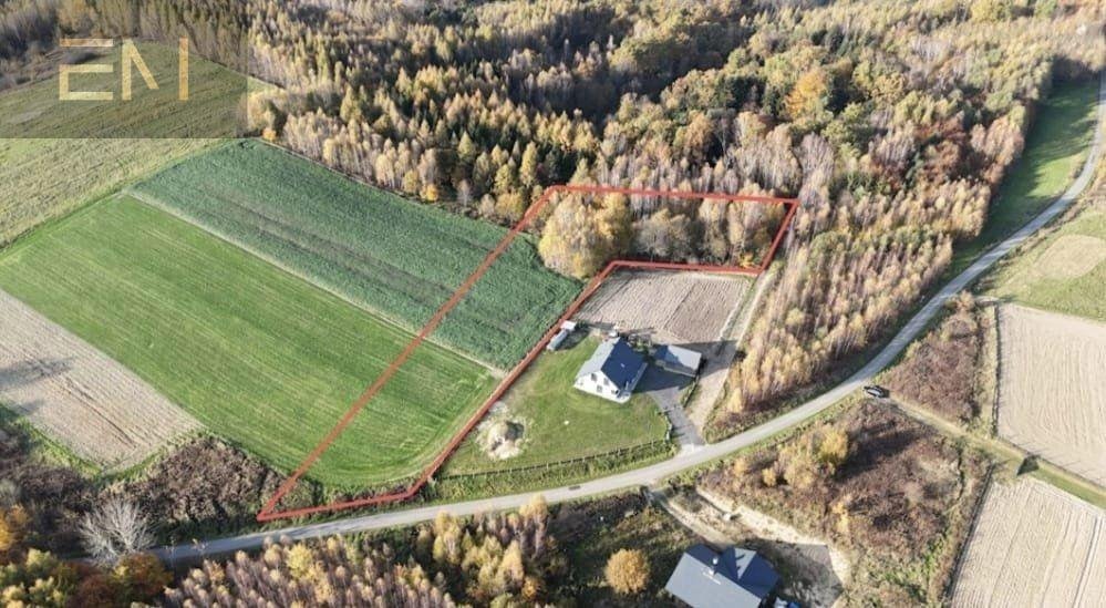 Na sprzedaż działka 39 arów z widokiem i dostępem do asfaltu Dobrzechów  3 900m2 Foto 1