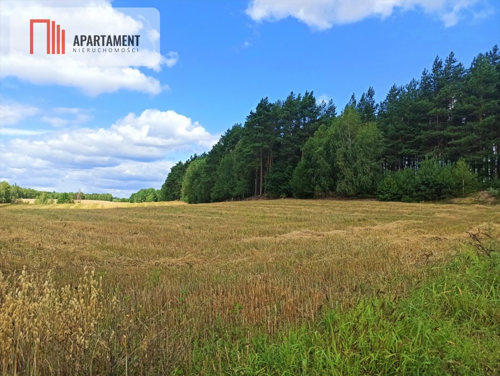 Działka budowlana na sprzedaż Miedzno  3 000m2 Foto 4