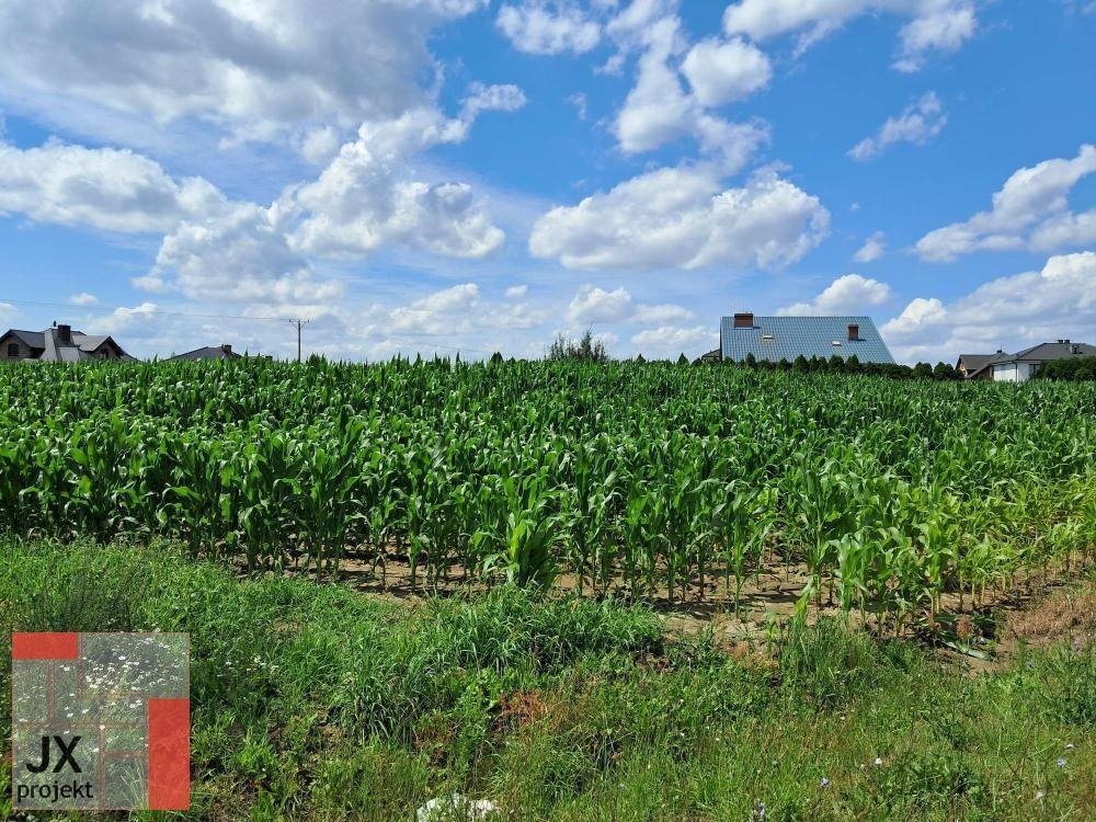 Działka inna na sprzedaż Dopiewo  893m2 Foto 3