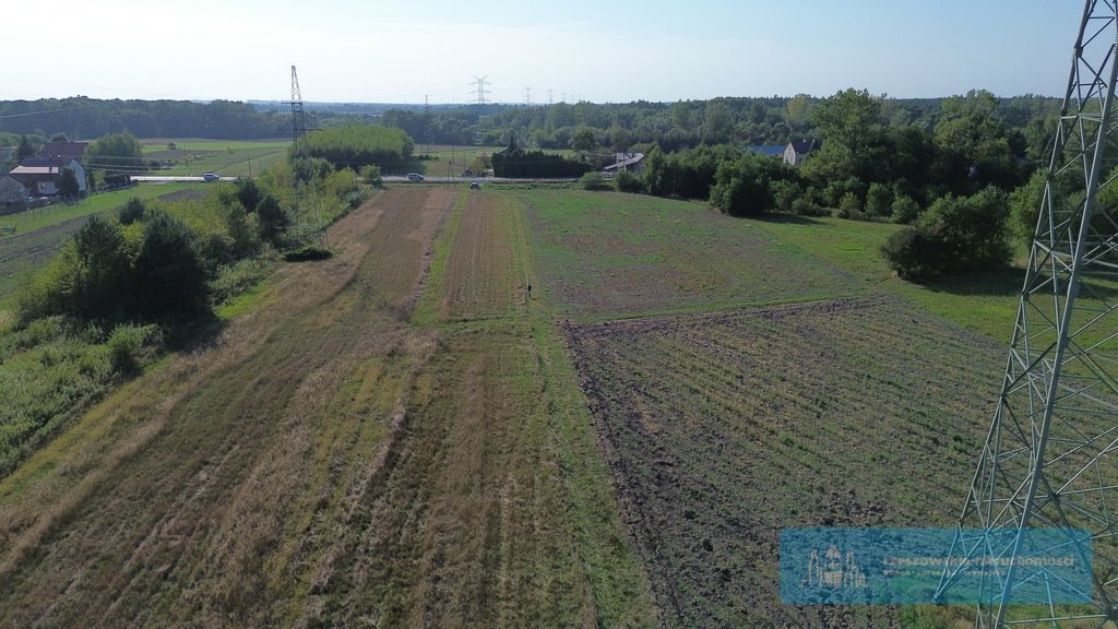 Działka budowlana na sprzedaż Pustków  10 118m2 Foto 5