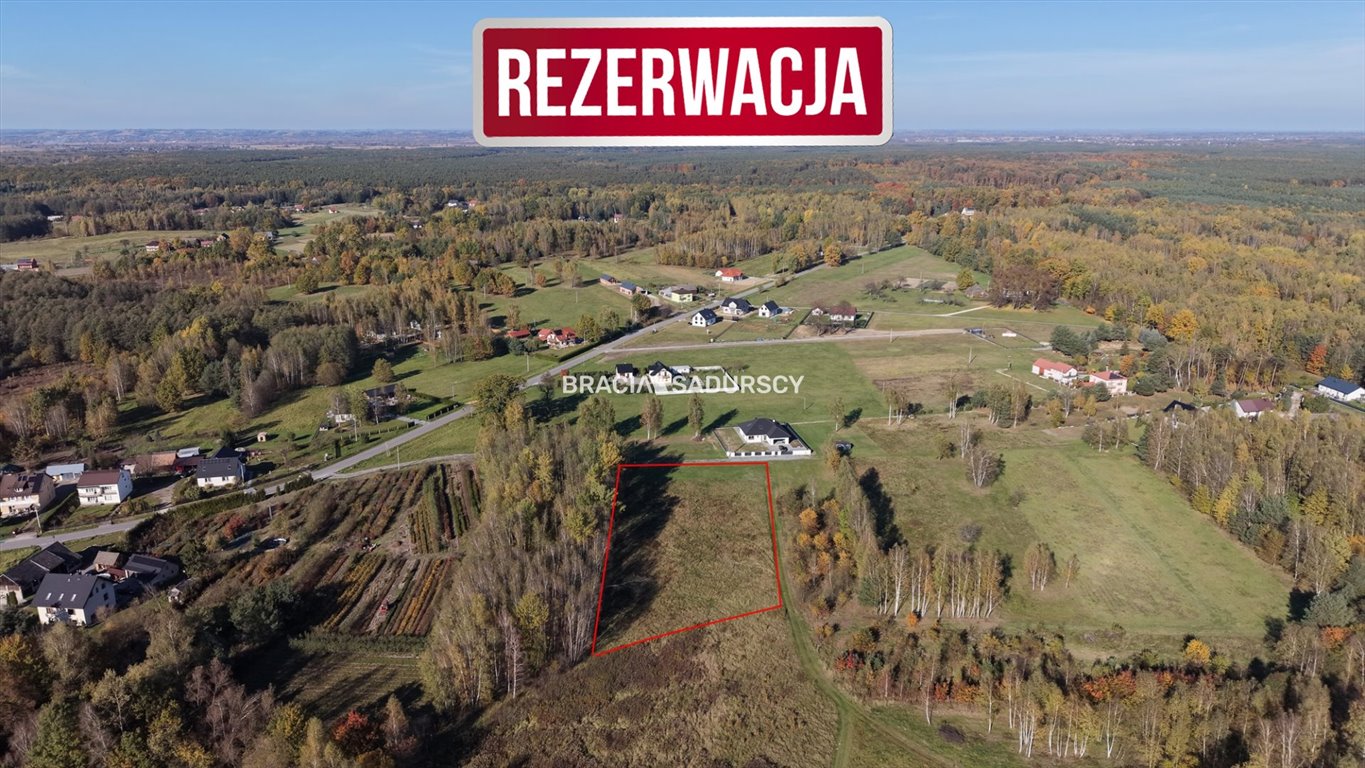 Do sprzedania działka 44 arów z lasem w Buczkowie Buczków  4 400m2 Foto 1