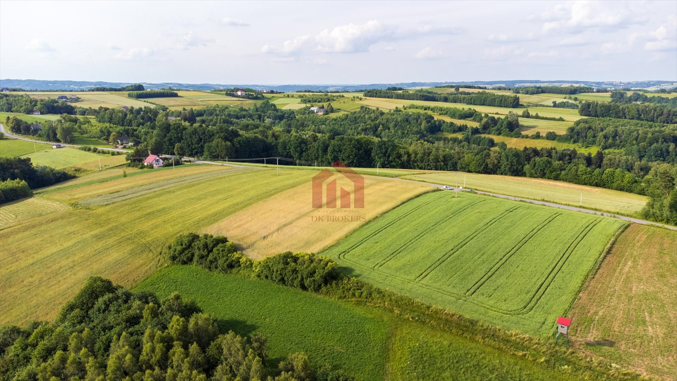 Działka budowlana na sprzedaż Wielopole Skrzyńskie  3 650m2 Foto 11