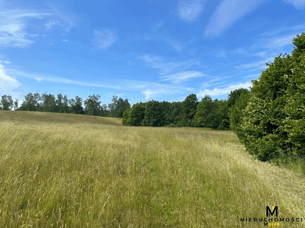 Działka leśna na sprzedaż Sianożęty, Kukinka  119 847m2 Foto 6