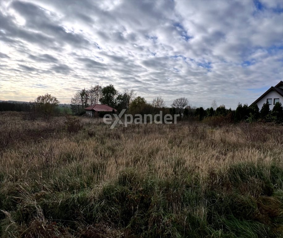 Działka budowlana na sprzedaż Grzybiany  4 168m2 Foto 1