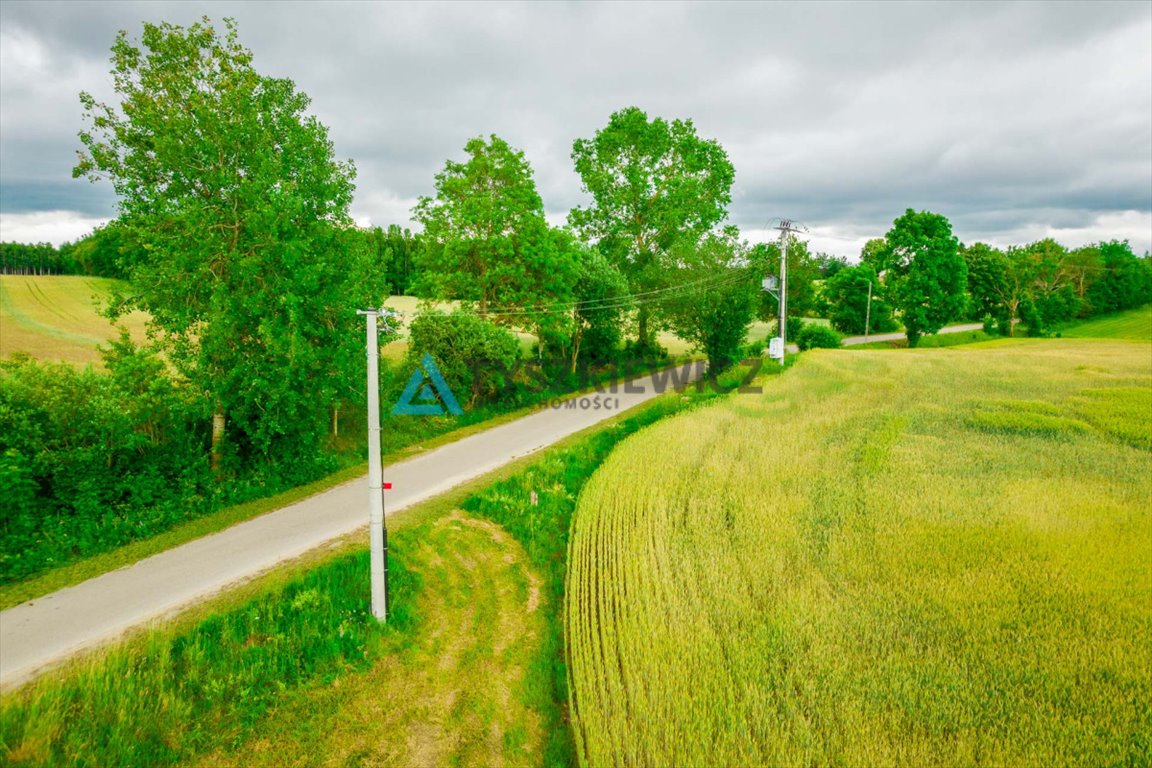 Działka budowlana na sprzedaż Dąbrówka  7 800m2 Foto 5